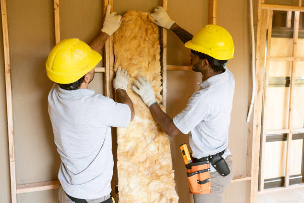 Best Soundproof Insulation  in Plano, KY